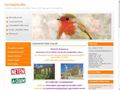 http://corvinpintyoke.hu ismertető oldala